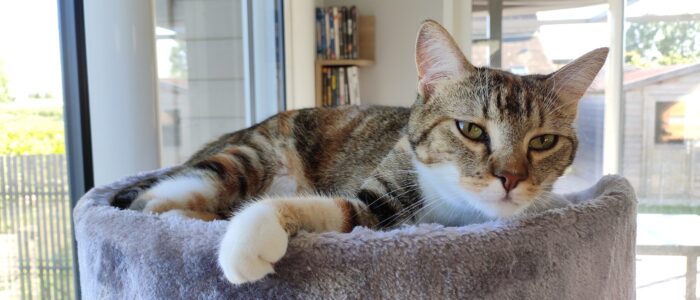 Xiaomi_Redmi Note 7 Pro_2024-06-07_61836636160